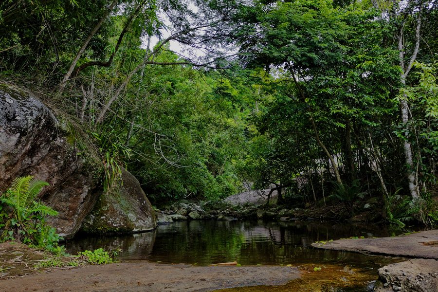 Poço Natural rodeado de árvores em meio à trilha da Água Branca, Ilhabela