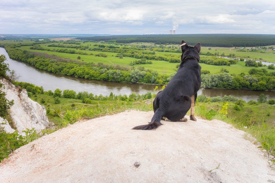 Blick auf den Don von einer Aussichtsplattform in der Oblast Woronesch