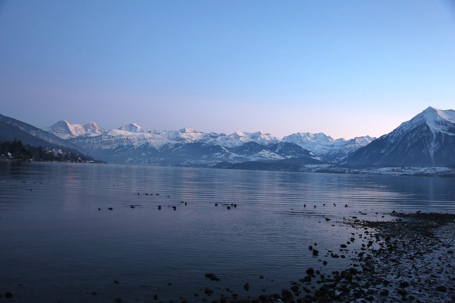 Blick vom Ufer bei Thun über den Thunersee auf Eiger, Mönch, Jungfrau und den Niesen.