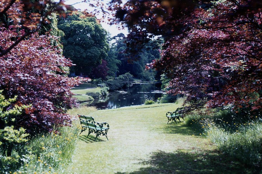 Garden landscape at Mount Usher Gardens in County Wicklow