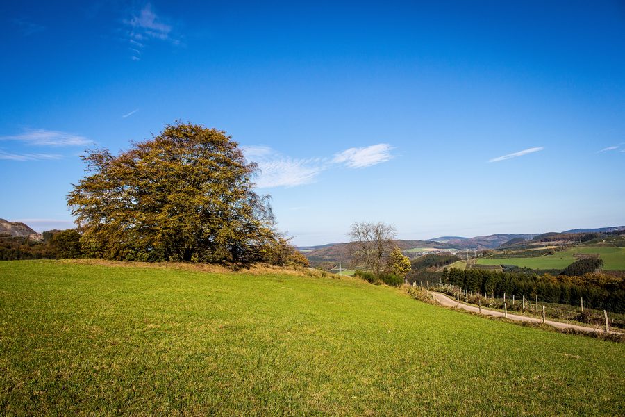Sauerland-Landschaft mit Bachtal bei Berlar in Bestwig