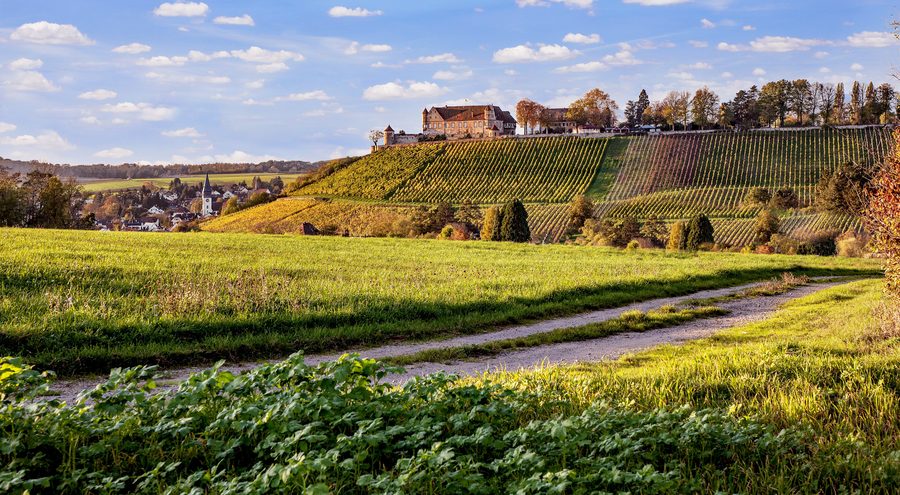 Untergruppenbach mit Burg Stettenfels in der umgebenden Landschaft