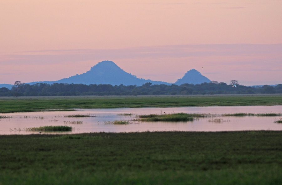 Mount Gorongosa im Gorongosa-Nationalpark in Mosambik