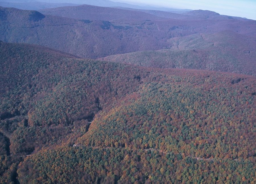 Aerial view of Papuk Nature Park in Croatia