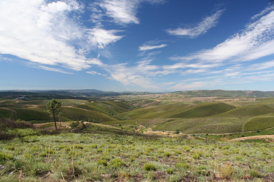 Paisaxe entre A Gudiña e Vilariño de Conso, en Ourense
