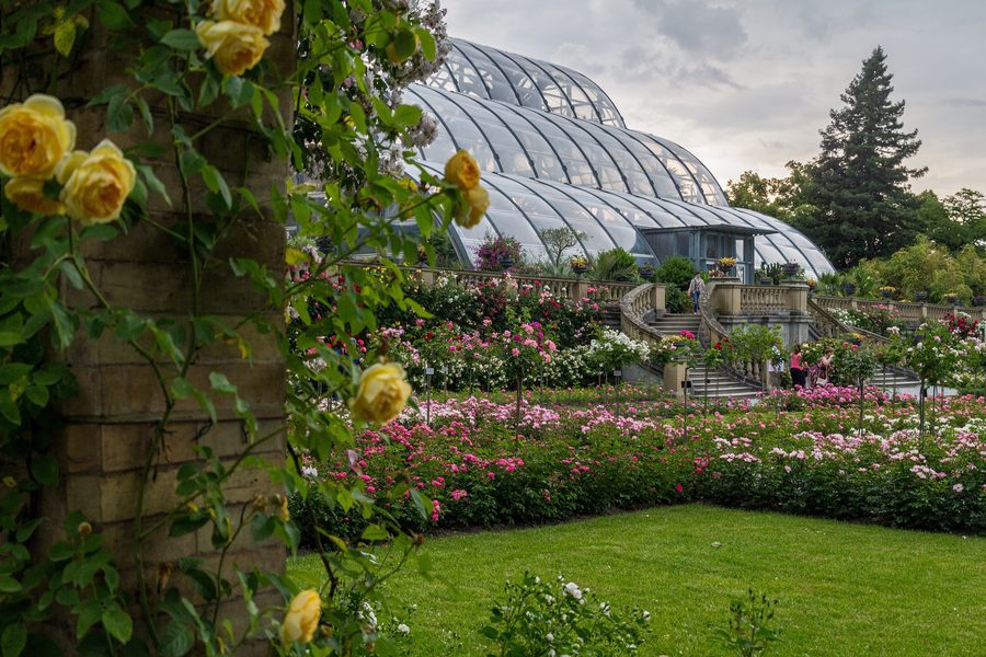 Rosengarten und Palmenhaus auf der Insel Mainau am Bodensee