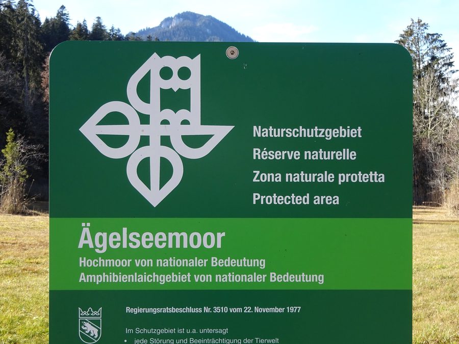Ägelseemoor in Diemtigen im Kanton Bern