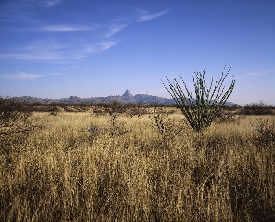 Landschaft im Buenos Aires National Wildlife Refuge im südlichen Arizona