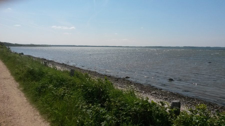 Blick auf die Geltinger Bucht mit Ostsee, grüner Küstenlandschaft und Wiesen