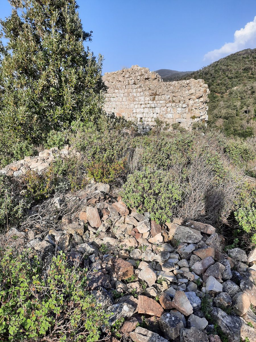 Ruinen des Castello di Dolia, auch Castellaccio genannt, in Terriccio