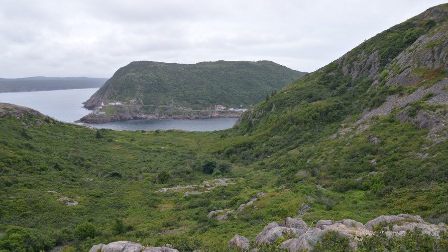 Blick über St. John's vom Signal Hill