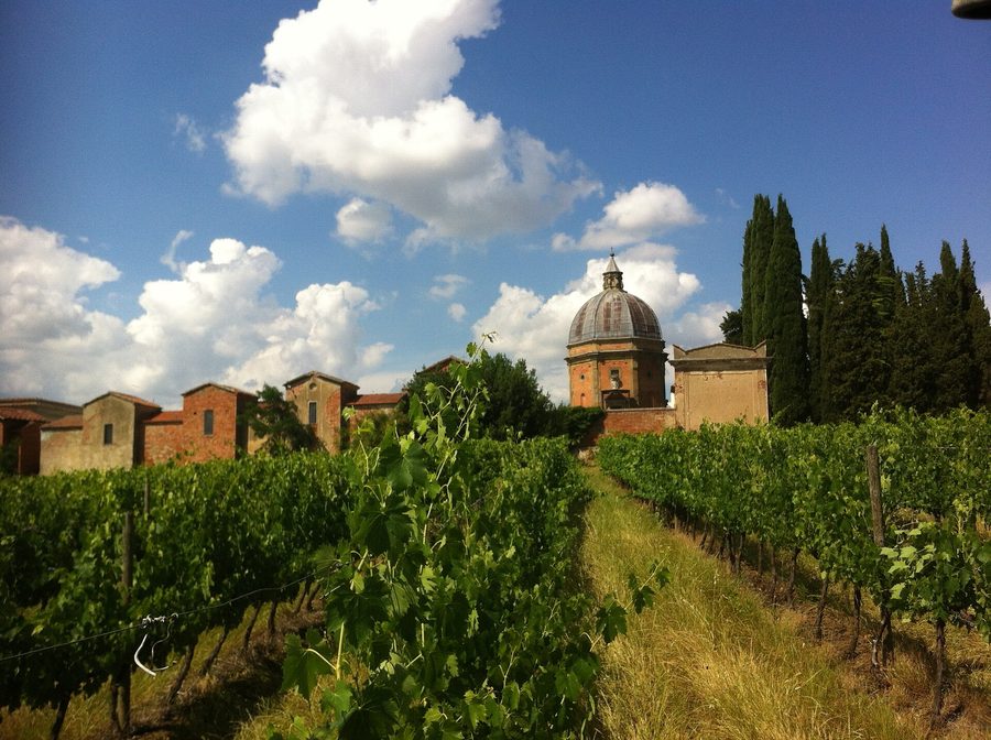 Tempel Santo Stefano della Vittoria in Pozzo della Chiana vor den Weinbergen