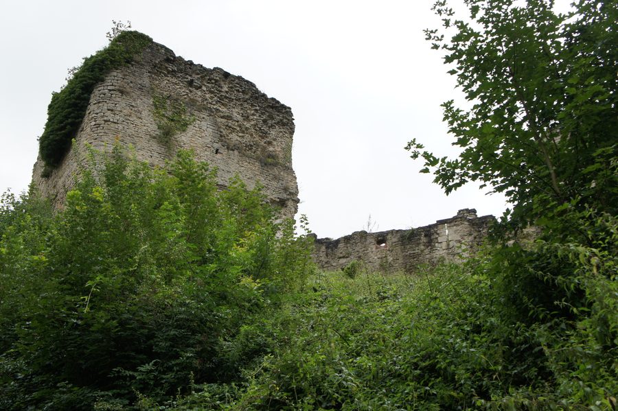 Ruinen des mittelalterlichen Château de Blâmont in Lothringen