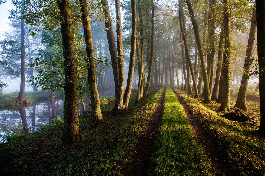 Radwanderungen auf dem Gurkenradweg im Spreewald
