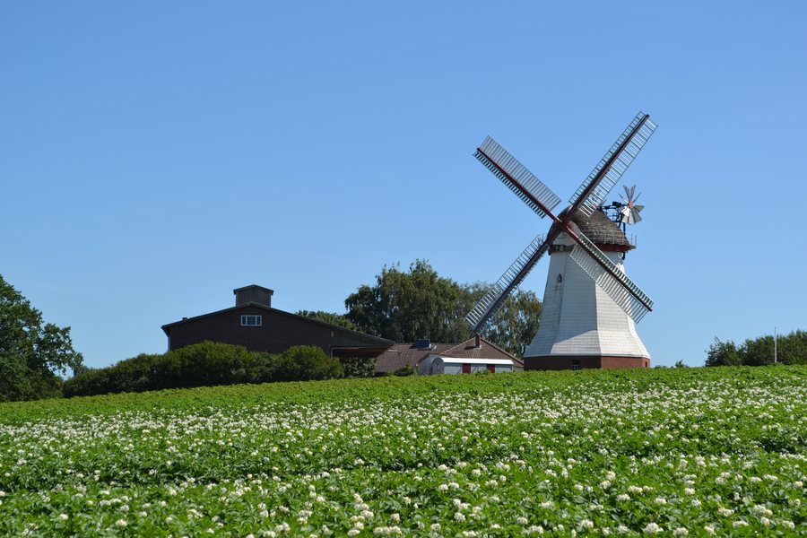 File:Windmill Eyendorf 01.JPG