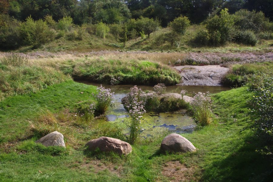 Salzquelle in Sülldorf im Sülzetal