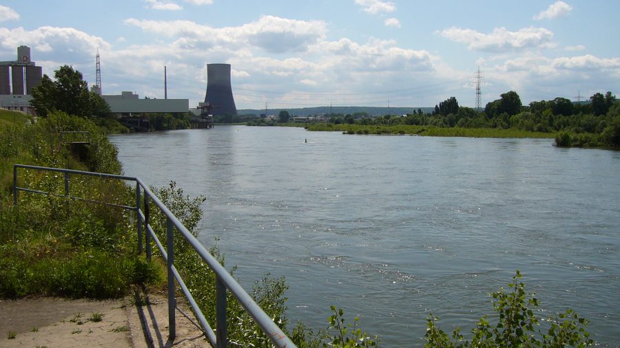 Weißenthurmer Werth im Rhein bei Weißenthurm