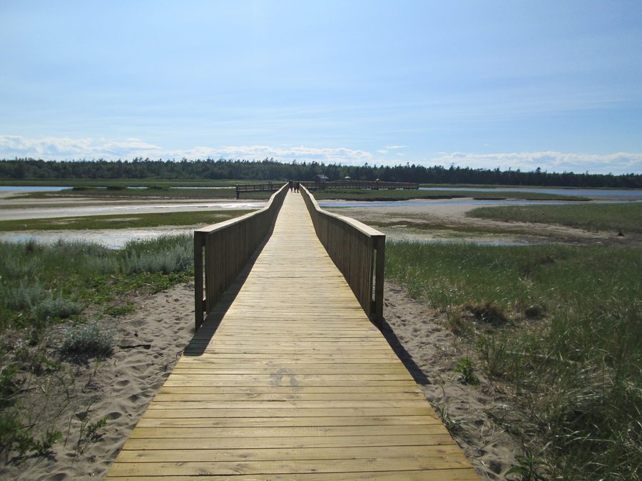 Boardwalk im Kouchibouguac National Park in New Brunswick