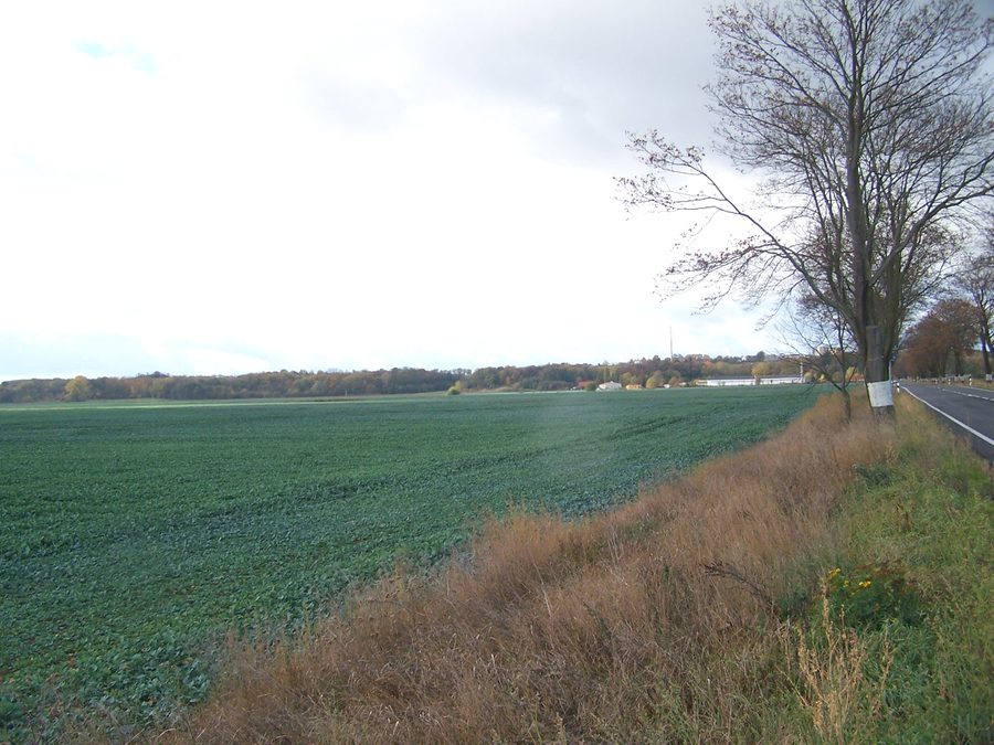 Blick aus Osten auf den Höhenzug bei Seelow im Oderbruch