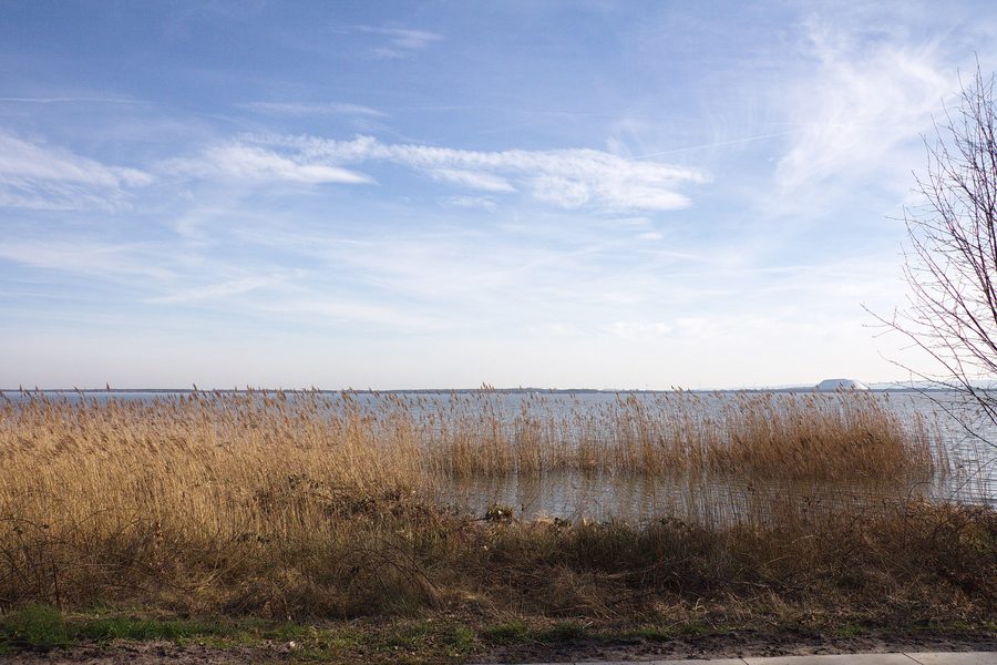 Landschaftsschutzgebiet Steinhuder Meer bei Mardorf in Niedersachsen
