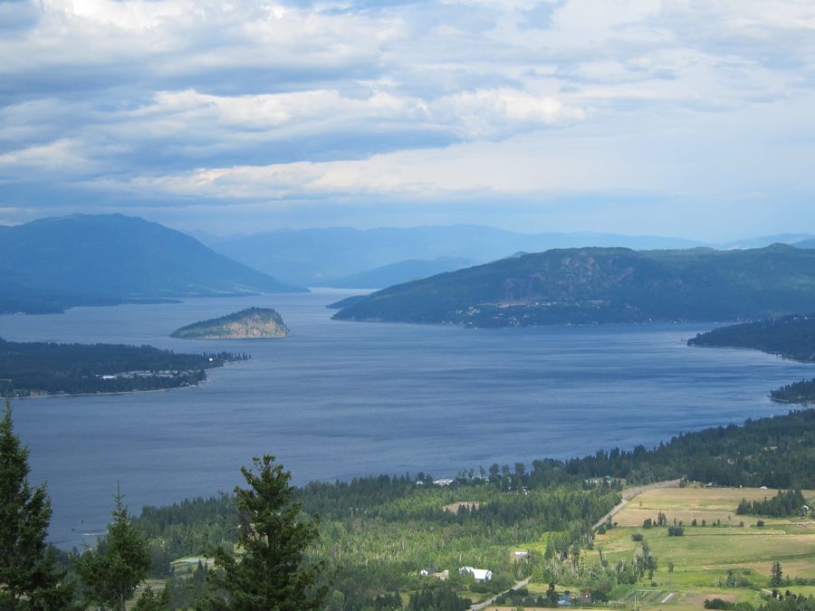 Blick auf den Shuswap Lake mit Copper Island und bewaldeten Ufern in British Columbia