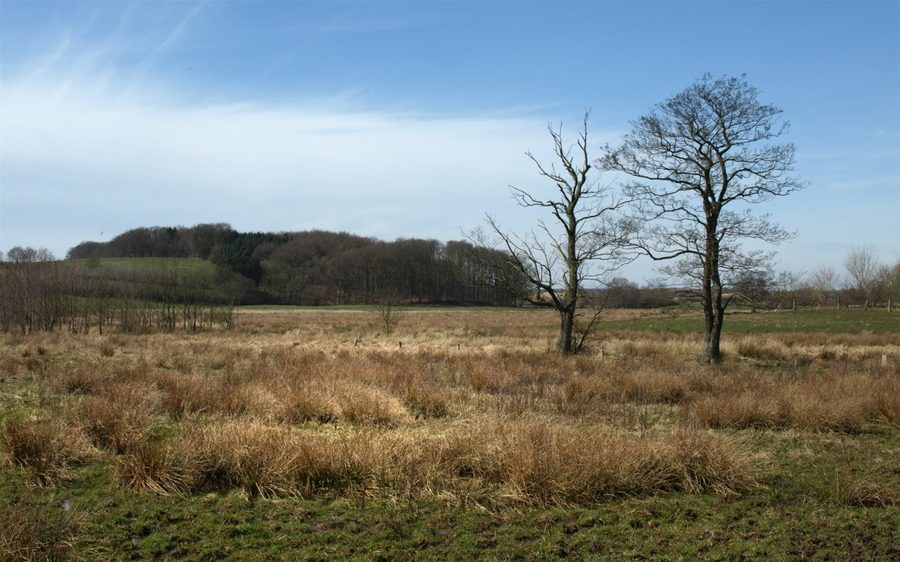 Tal der oberen Eider in Schleswig-Holstein