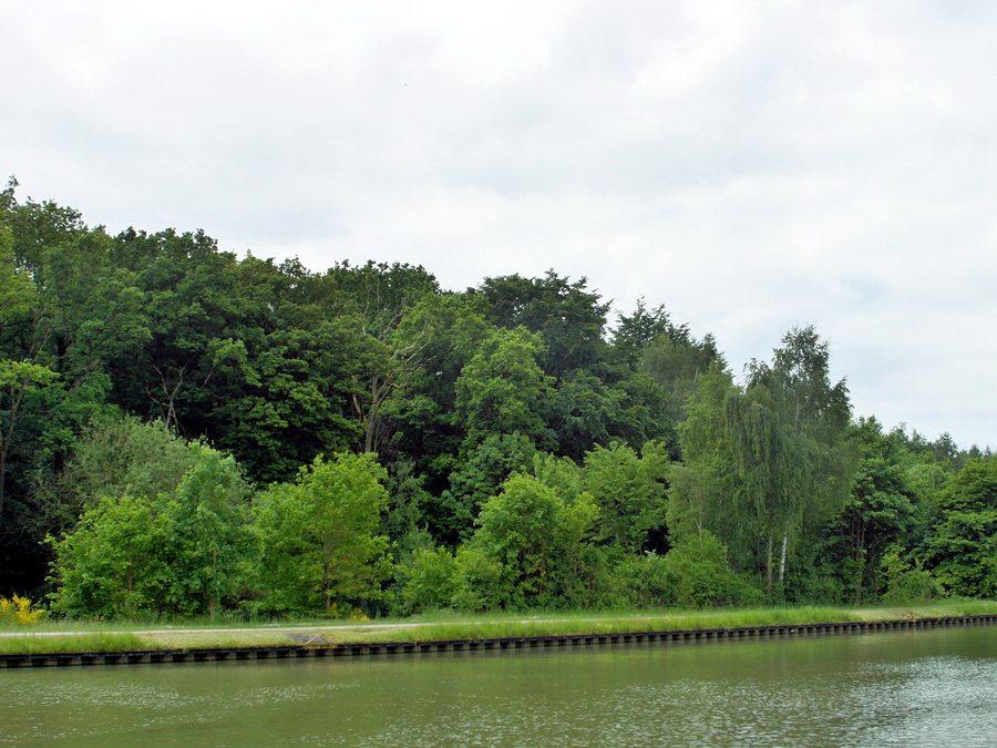 Landschaftsschutzgebiet Fohlenstall im Haster Wald am Mittellandkanal