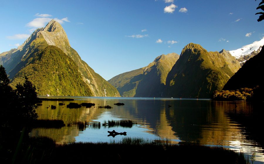 Milford Sound mit dunklem Fjordwasser und bewaldeten Berghängen in Fiordland