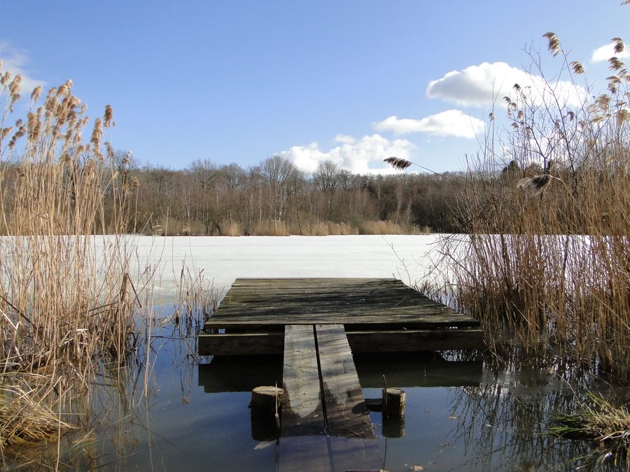 Großer Teich in Selmsdorf im Landkreis Nordwestmecklenburg