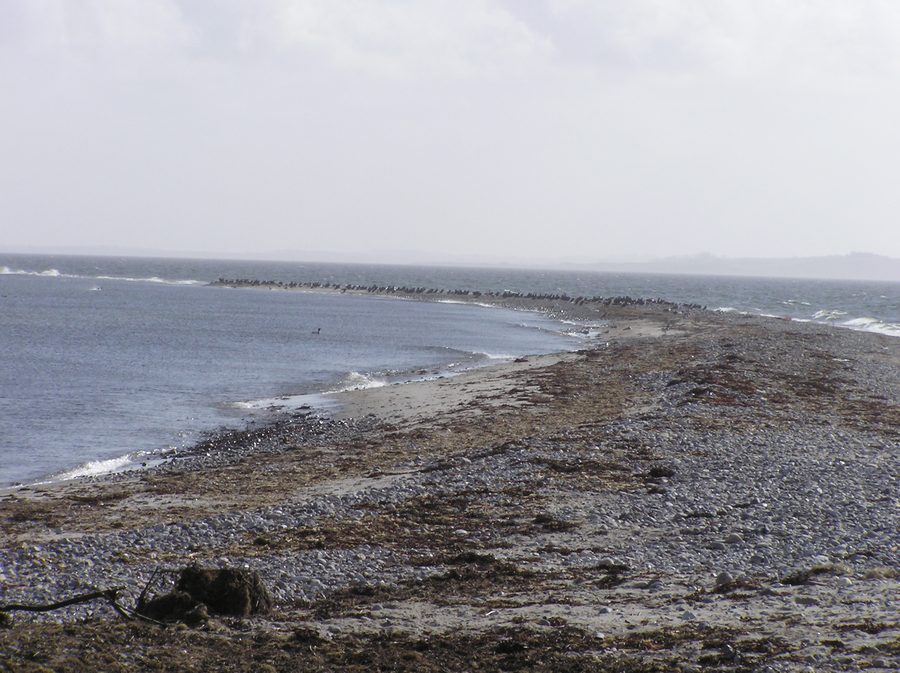 Südspitze von Sejerø mit Küstenlandschaft