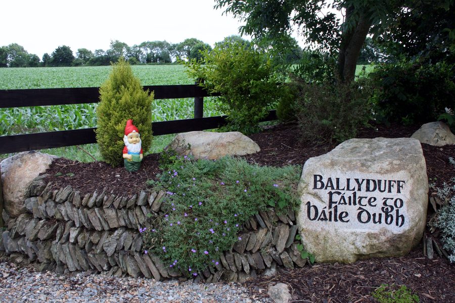 Landschaft bei Ballyduff im County Wexford