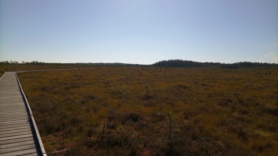 Bohlenweg durch das Moorgebiet Stora Mosse in der Gemeinde Gnosjö