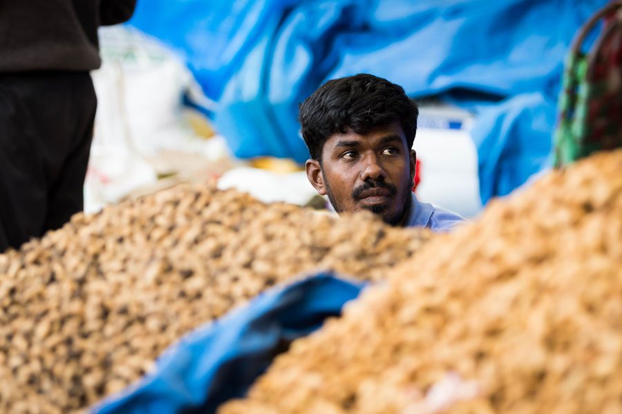 Marktstände beim Kadlekai-Parishe-Erdnussfest in Basavanagudi, Bengaluru