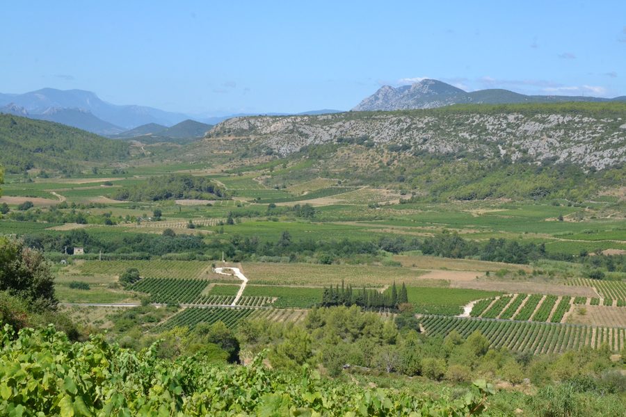 Landschaft des Verdouble-Tals bei Tautavel