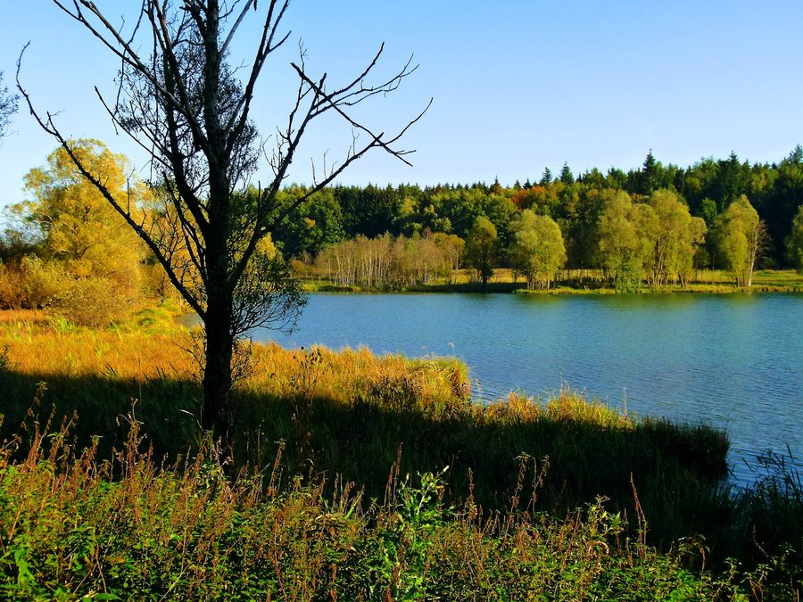 Landschaftsansicht der Schwackenreuter Seenplatte mit mehreren Seen und Ufervegetation