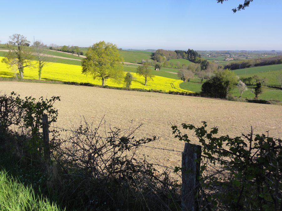 Paysage rural à Bussières-près-Pionsat, dans le Puy-de-Dôme