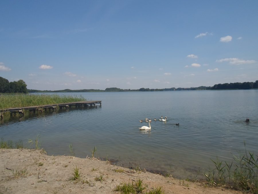 Naturschutzgebiet Krakower Obersee im Naturpark Nossentiner/Schwinzer Heide