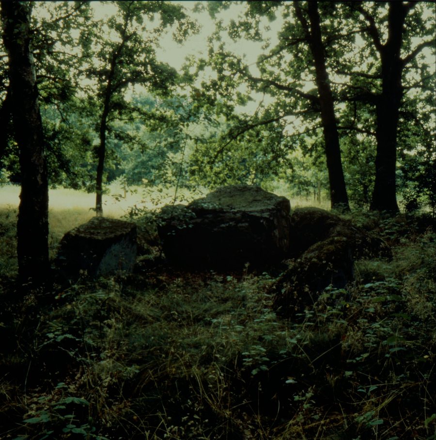 Großsteingrab Wenzendorf