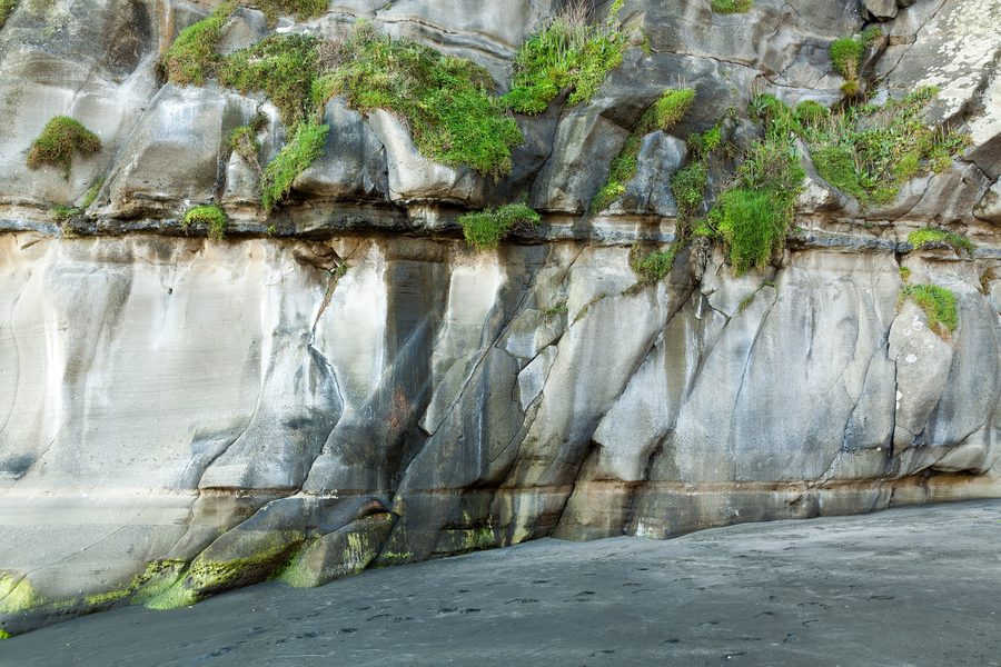 Klippen am Muriwai Beach an der Westküste bei Auckland