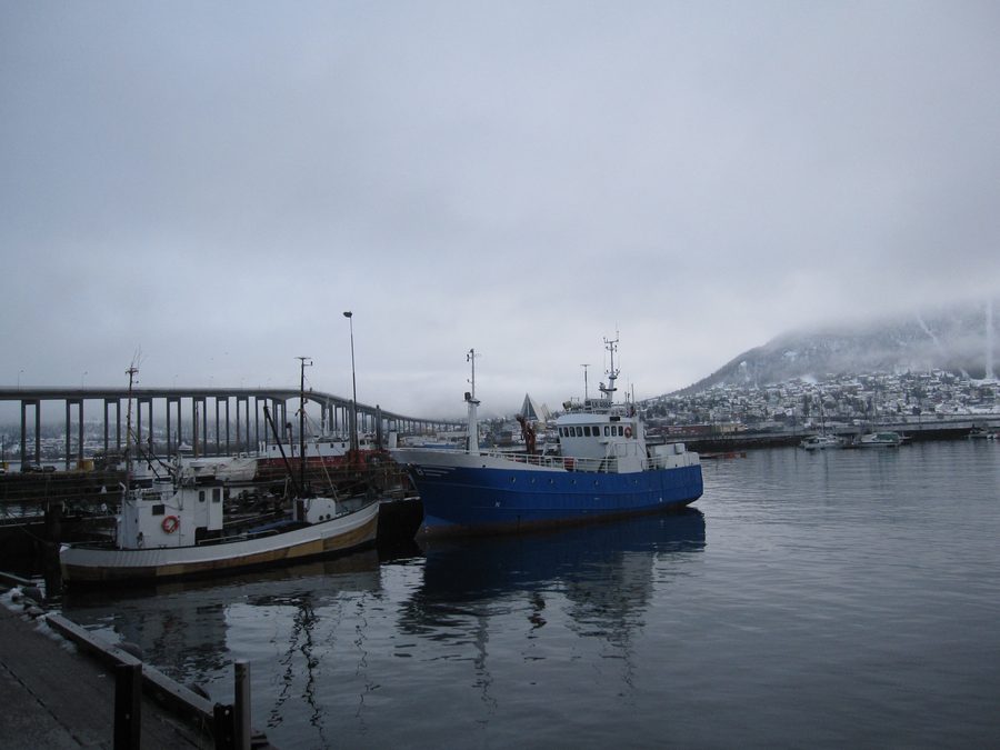 Hafen von Tromsø mit Fischerbooten und der Tromsøbrua im Hintergrund