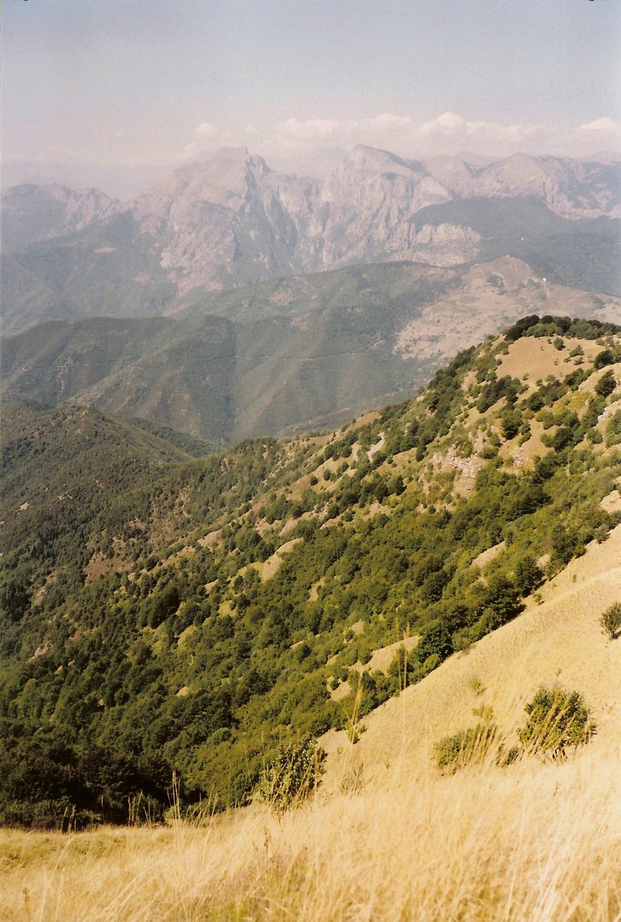 Blick vom Monte Ceppo auf den Monte Toraggio und den Monte Pietravecchia