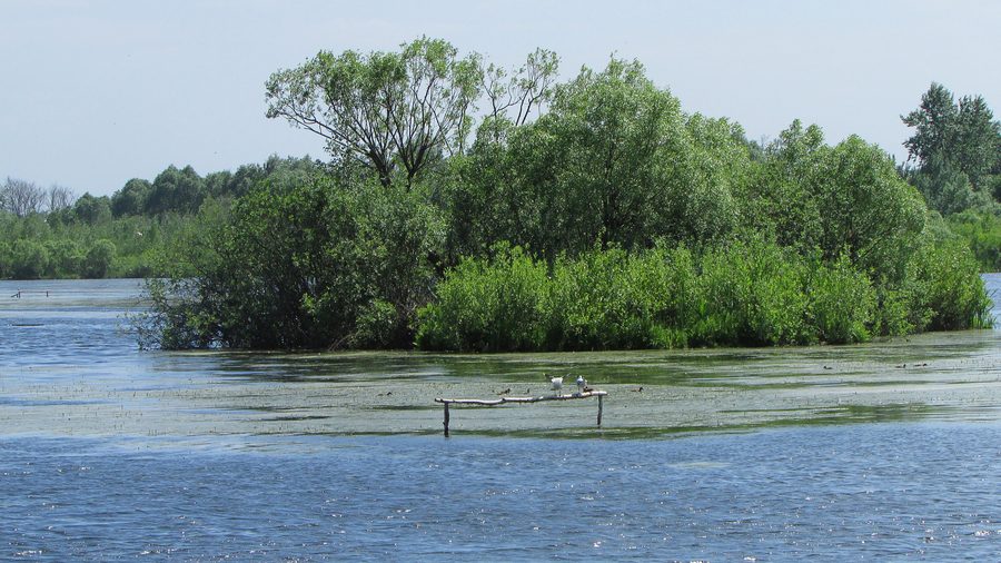 Kiovo lake with an island in the middle