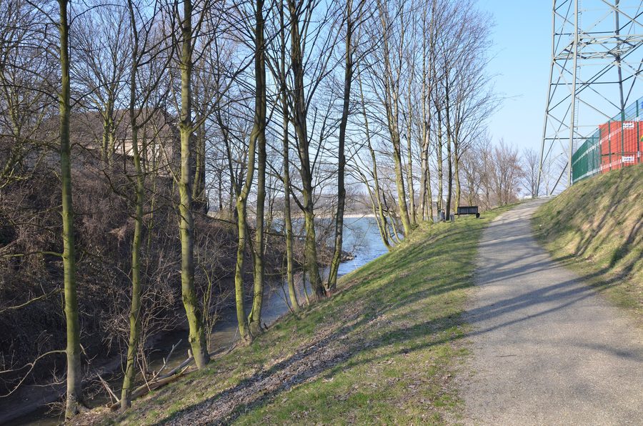 Angerbach im Angerpark in Duisburg-Angerhausen an der Mündung in den Rhein