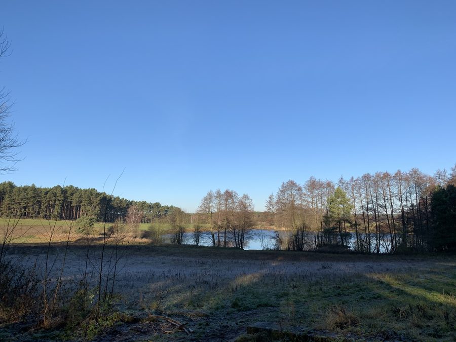 Landschaft im Naturschutzgebiet Oberes Pfefferfließ in Brandenburg