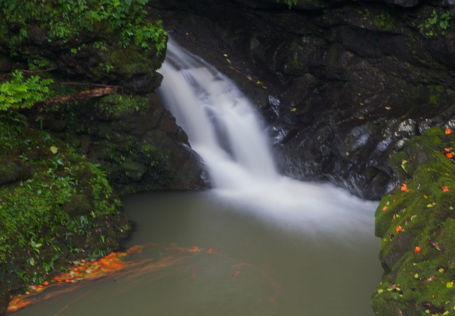 Kleiner Wasserfall an der Straße nach Hana auf Maui