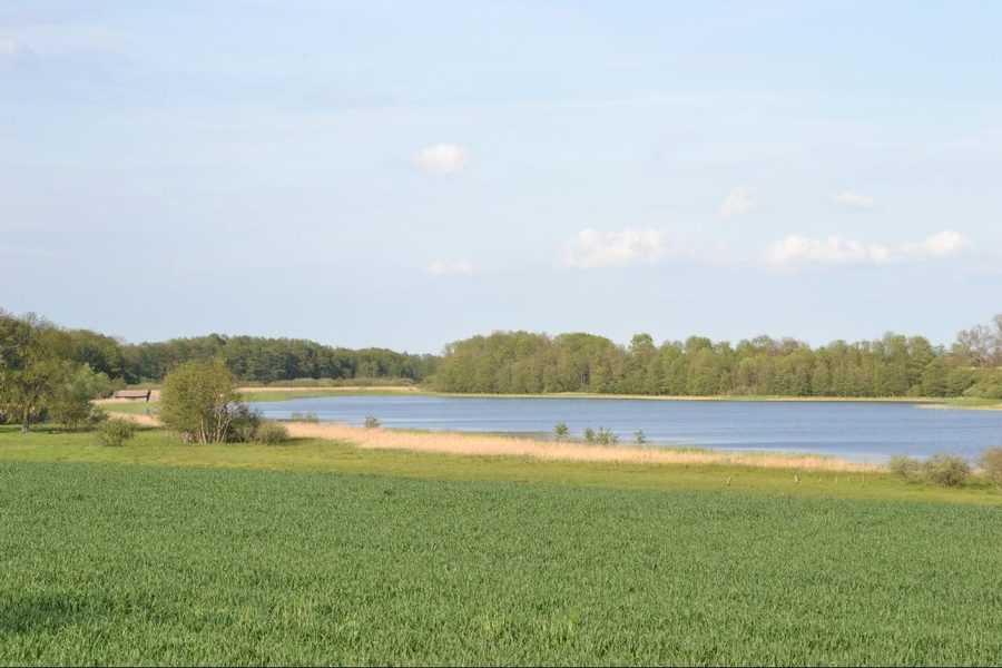 Rittermannshagener See in der Mecklenburgischen Schweiz