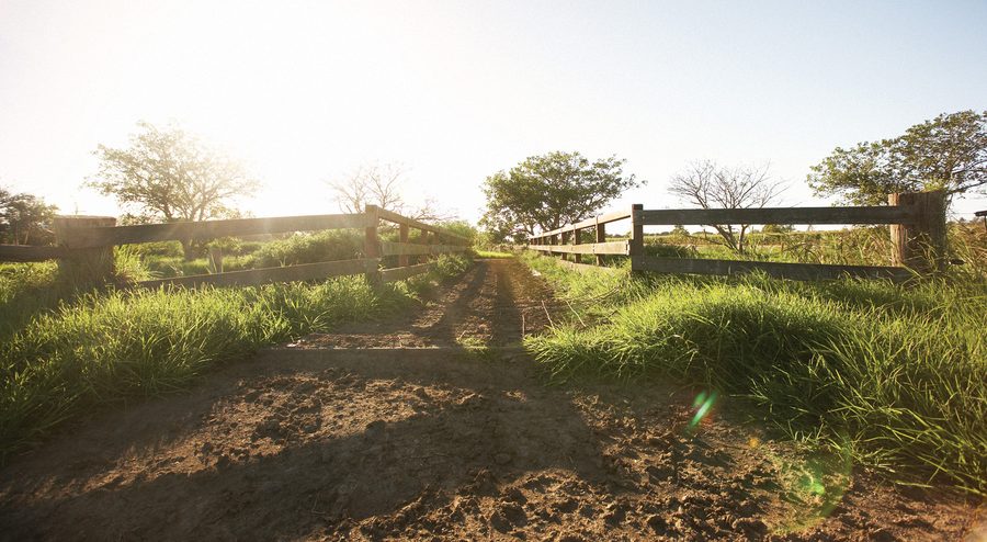 Landwirtschaftliche Farm in den Adelaide Hills in Südaustralien