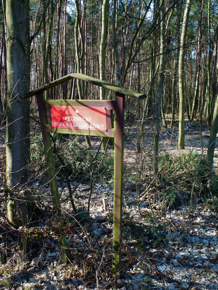 Landscape of Przemęcki Landscape Park near Zbarzewo