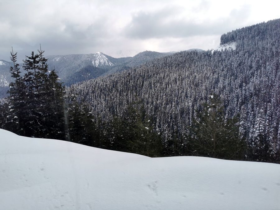 Landschaft im Ilgaz-Berg-Nationalpark nahe Çankırı