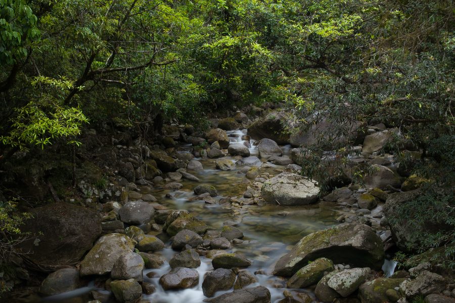 Mossman Gorge im tropischen Regenwald von Far North Queensland